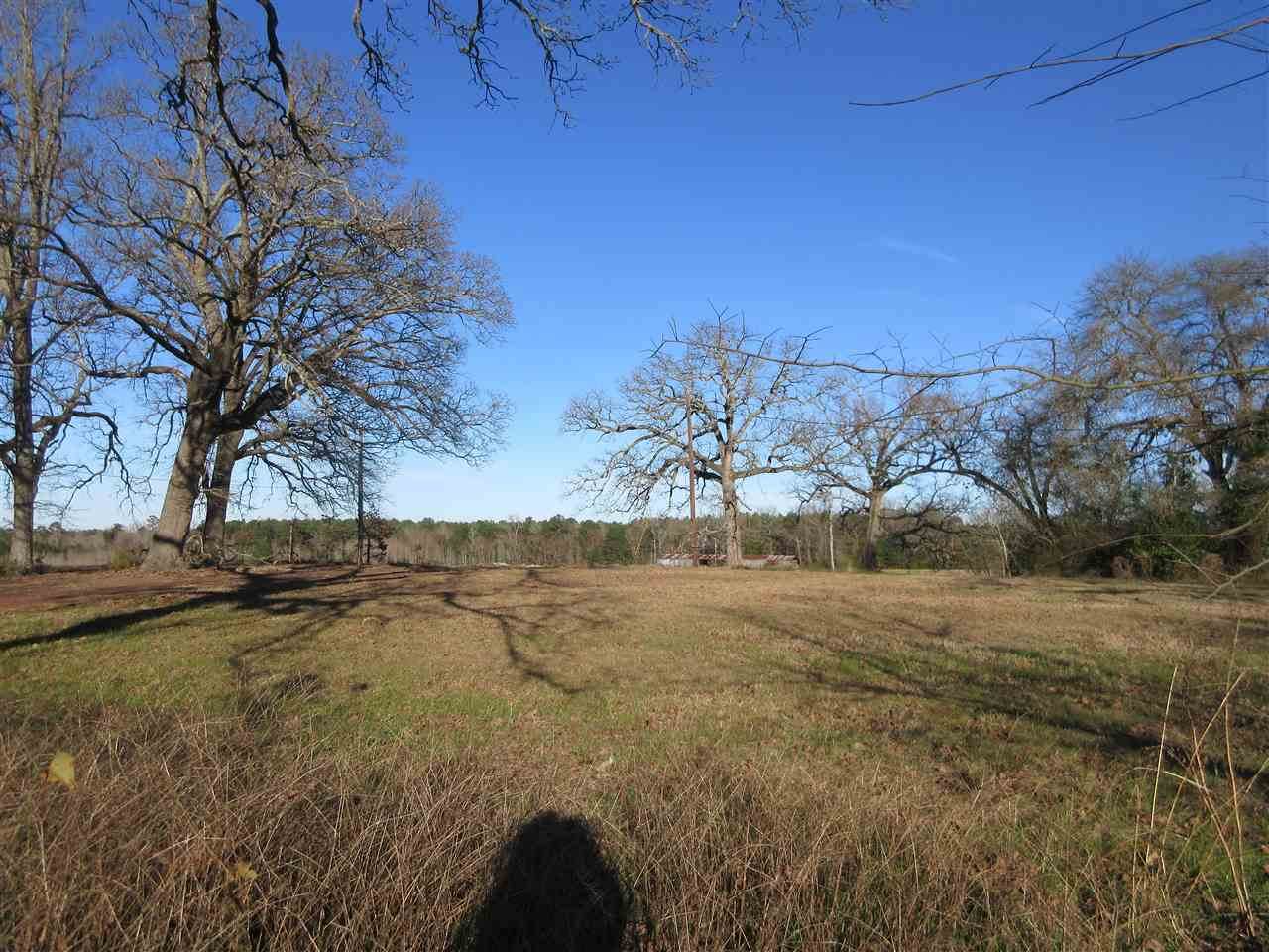 4742 Tryon Rd - Photo 1