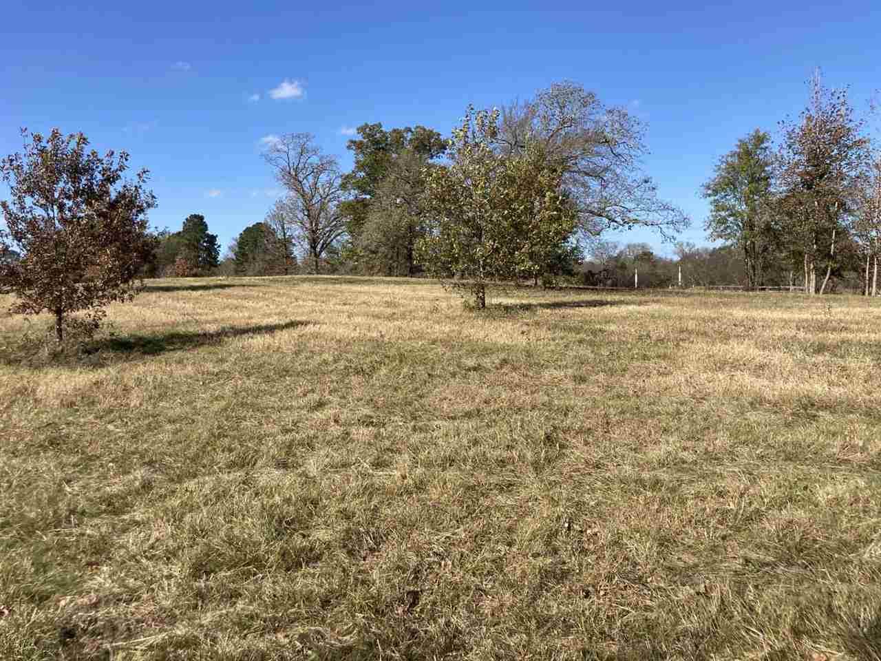 tbd Sh 154 - Photo 1