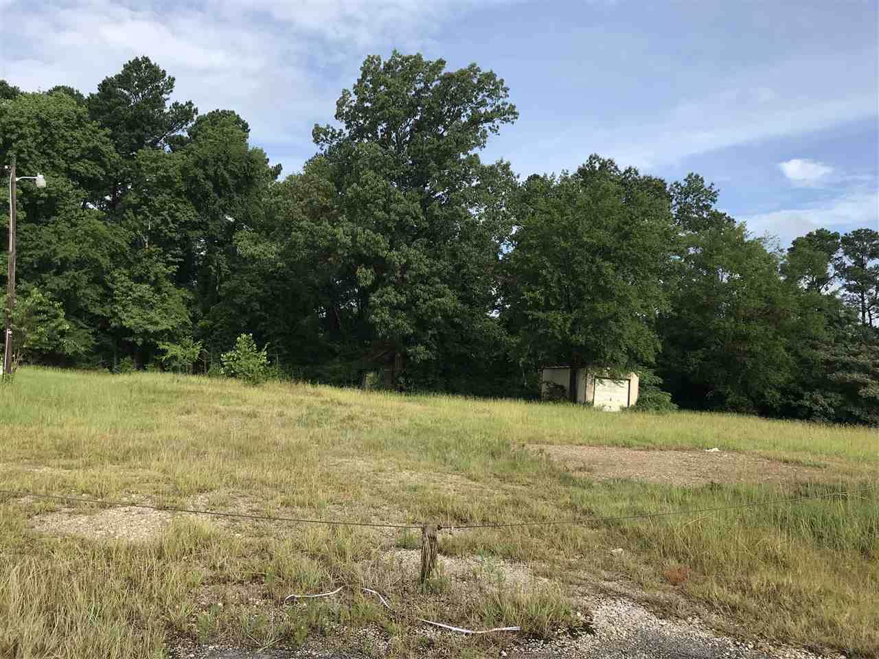 TBD (109) Ward Drive - Photo 1