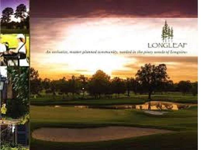 Lot 4 Longleaf Estates - Photo 1