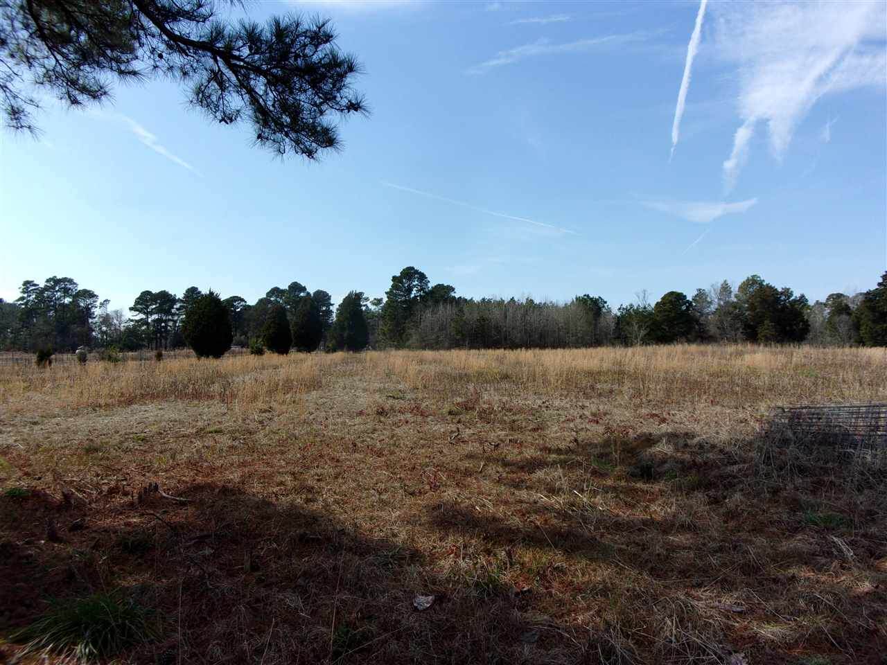 5431 Marks Hill Rd - Photo 1