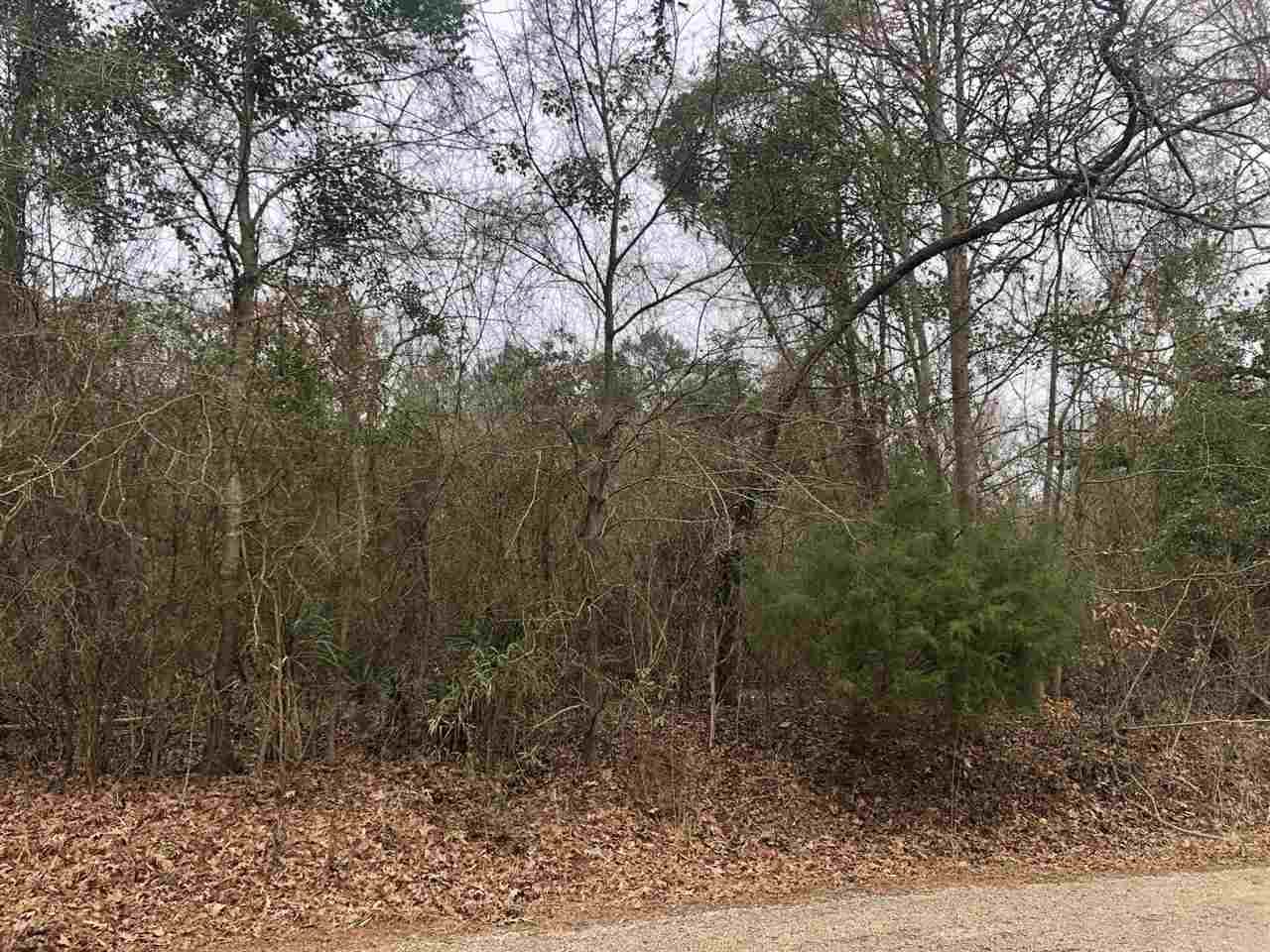 2311 Lake Drive - Photo 1