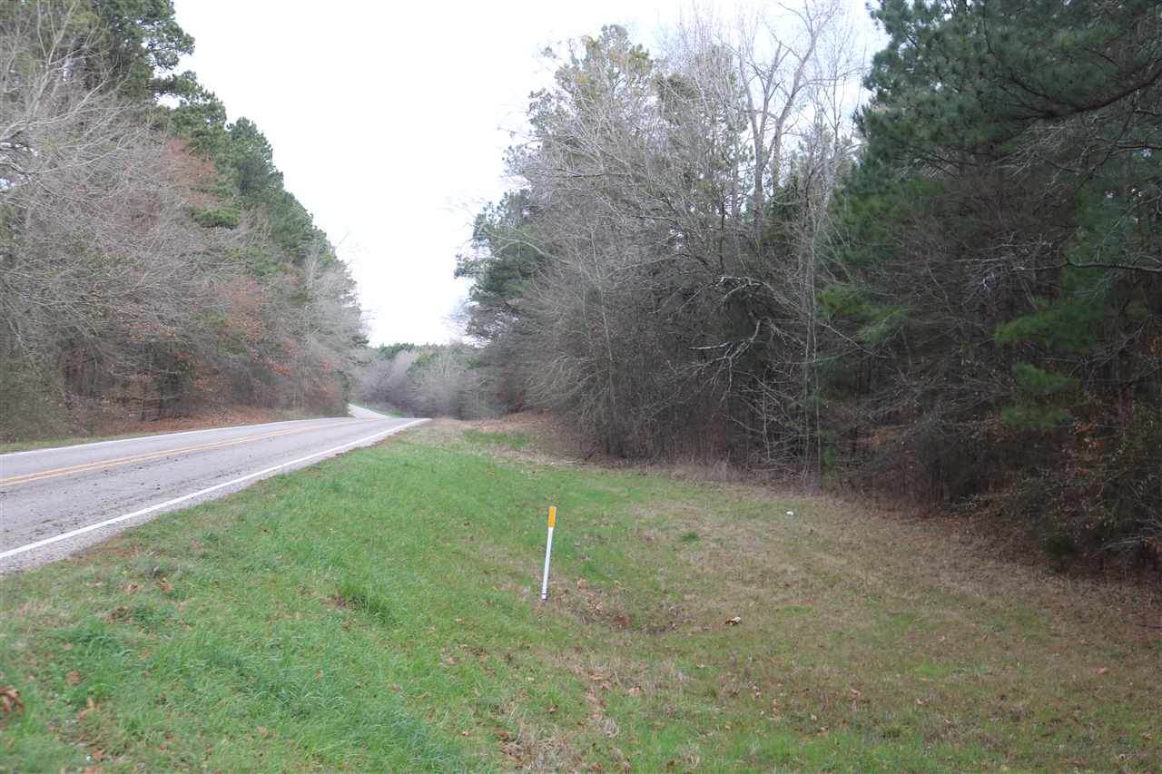 TBD Fm 2263 Tract 2 - Photo 1
