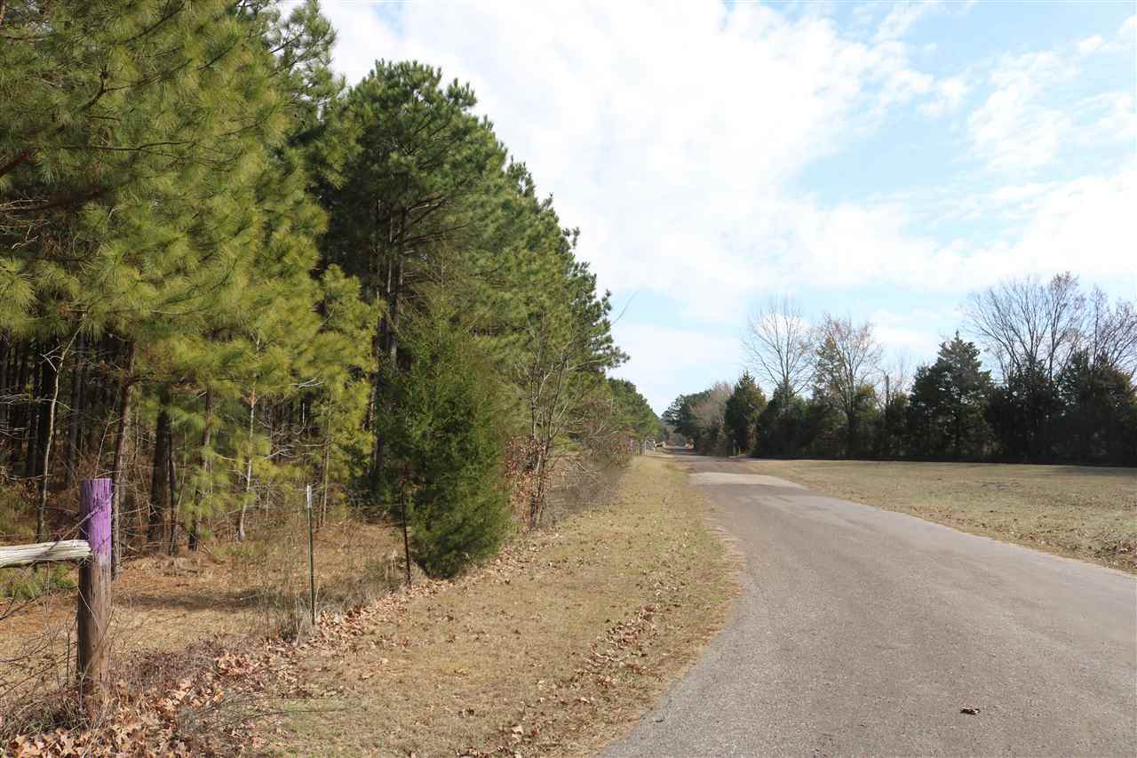 TBD Fm 2263 & Bluebell Road Tract 3 - Photo 1