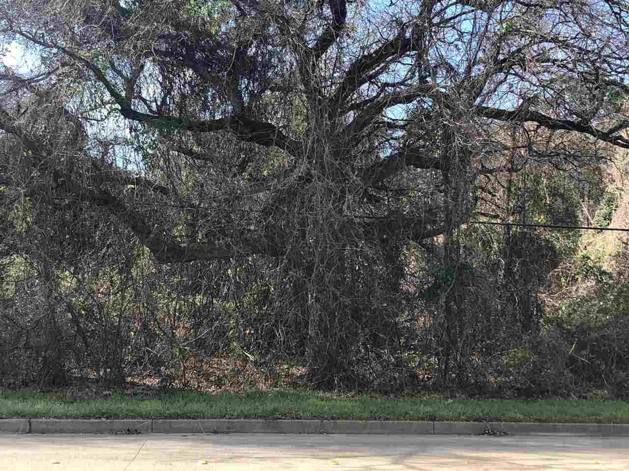 4405 Old Troup Hwy - Photo 1