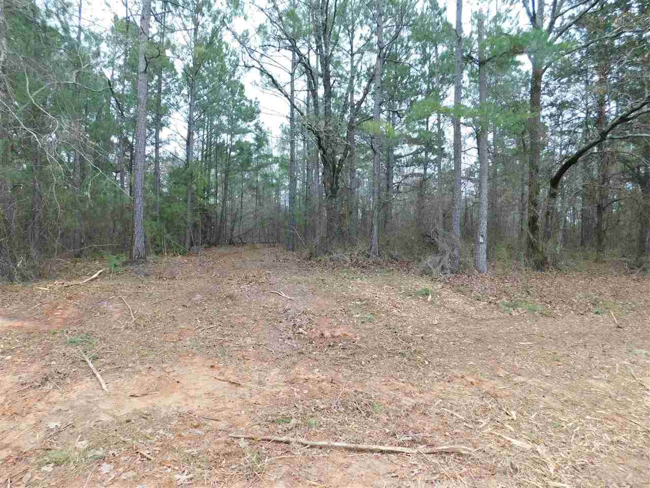 TBD Periwinkle Rd - Photo 1