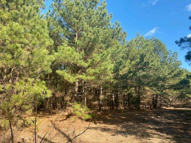 TBD Cr 3218 - Photo 1
