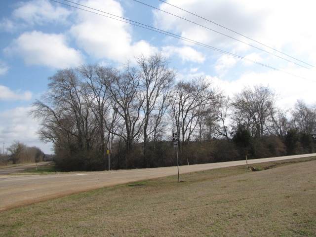 TBD Fm 1716 & Fm 782 - Photo 1