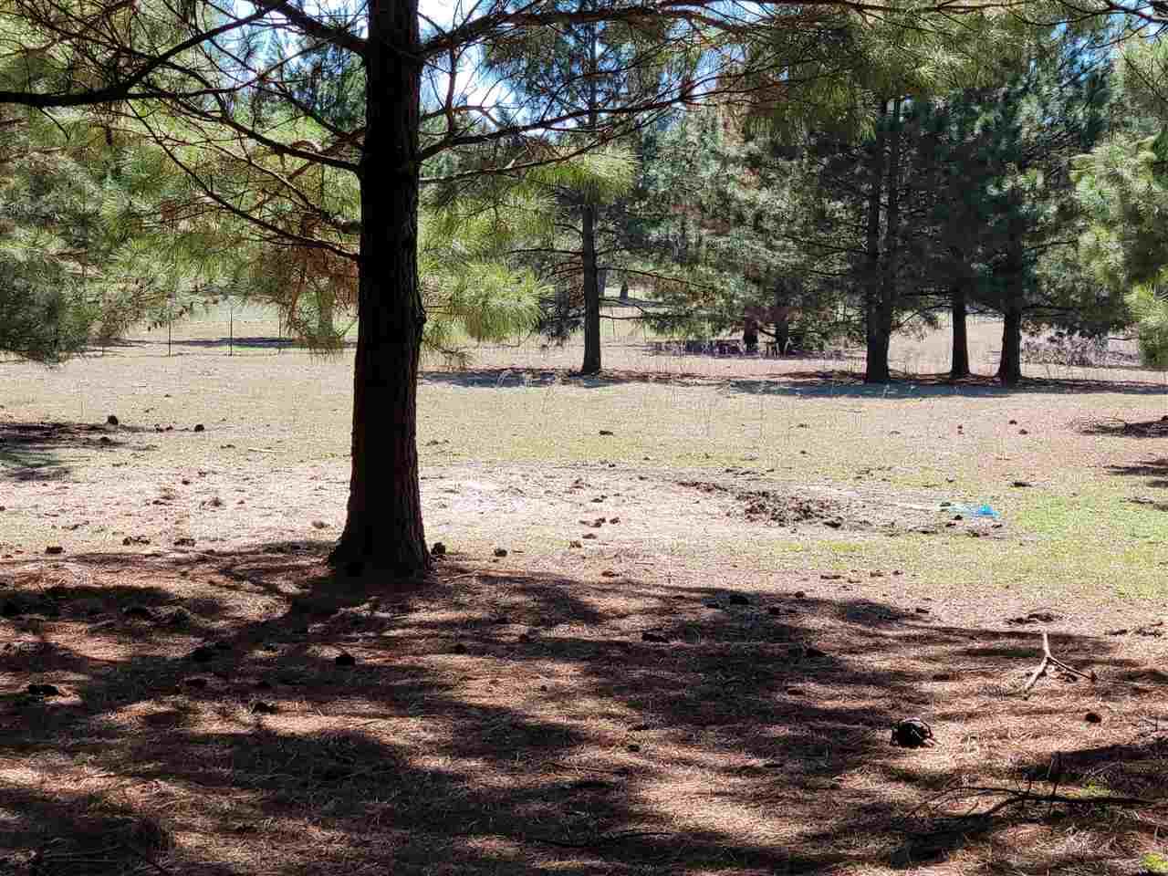 16770 County Road 358 - Photo 1