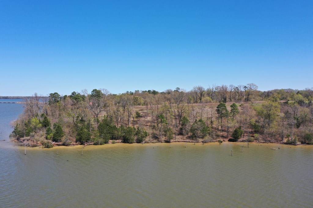 tbd Lot 8 South Shore - Photo 1