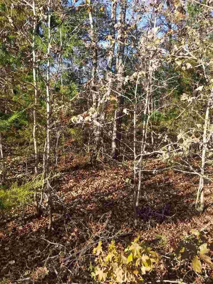 22532 Dogwood Trail - Photo 1