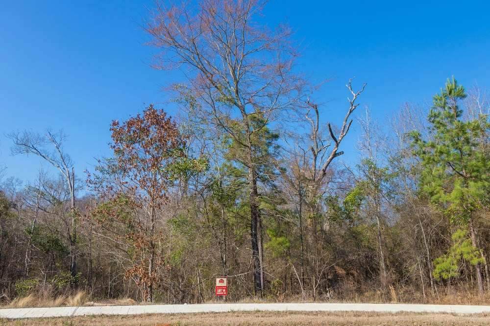 4229 Savannah Hills Ln - Photo 1