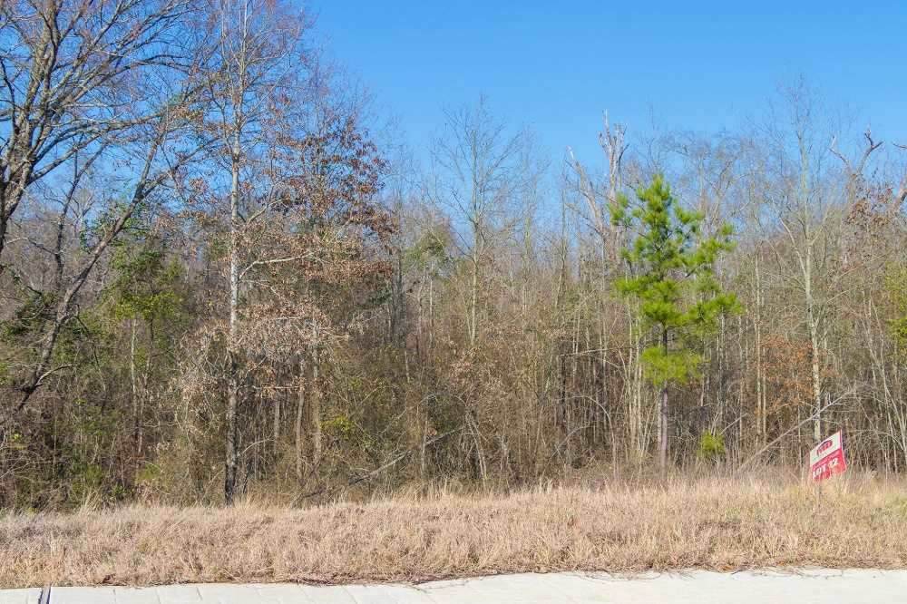 4225 Savannah Hills Ln - Photo 1
