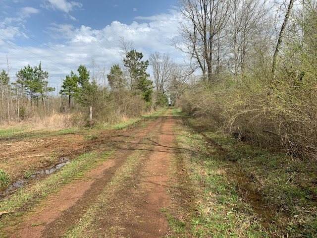 0 Webb Rogers Rd - Photo 1