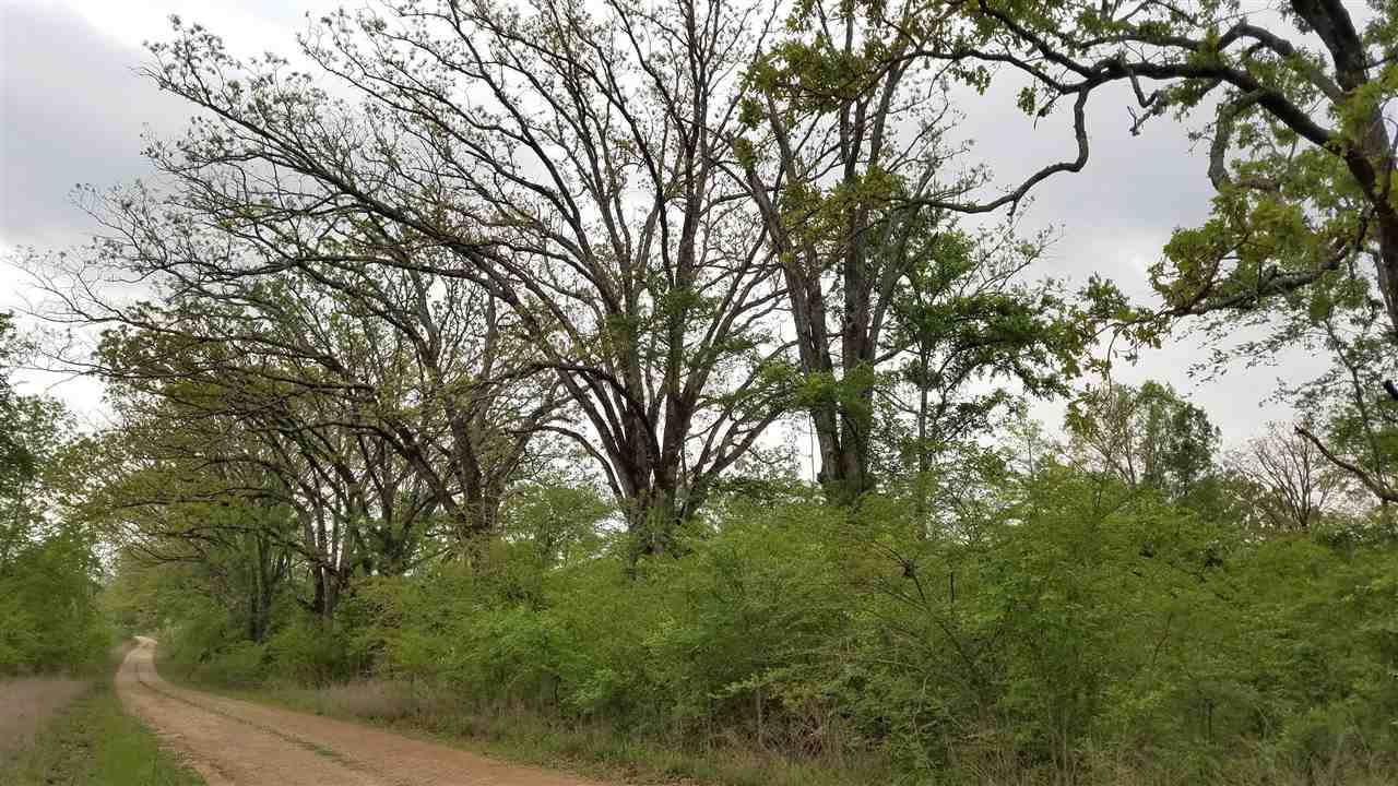 TBD Hwy 300 - Photo 1
