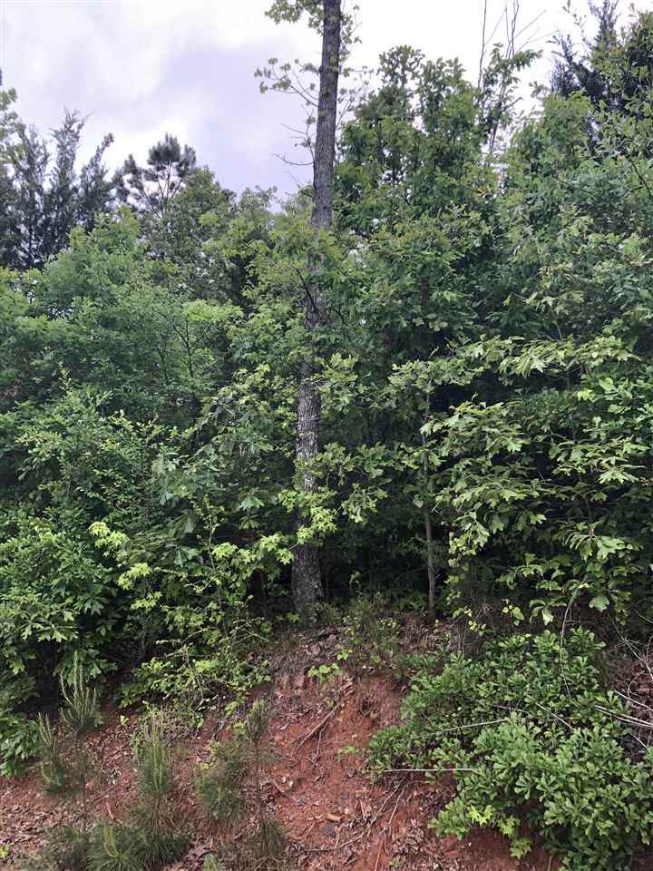 TBD Aster Rd - Photo 1