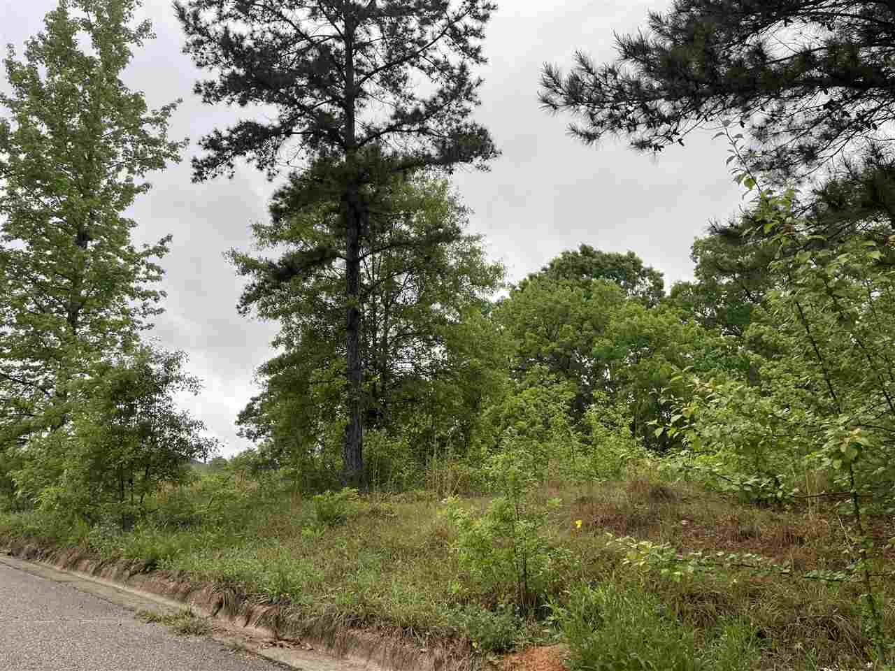 1123 Sequoia Cir - Photo 1