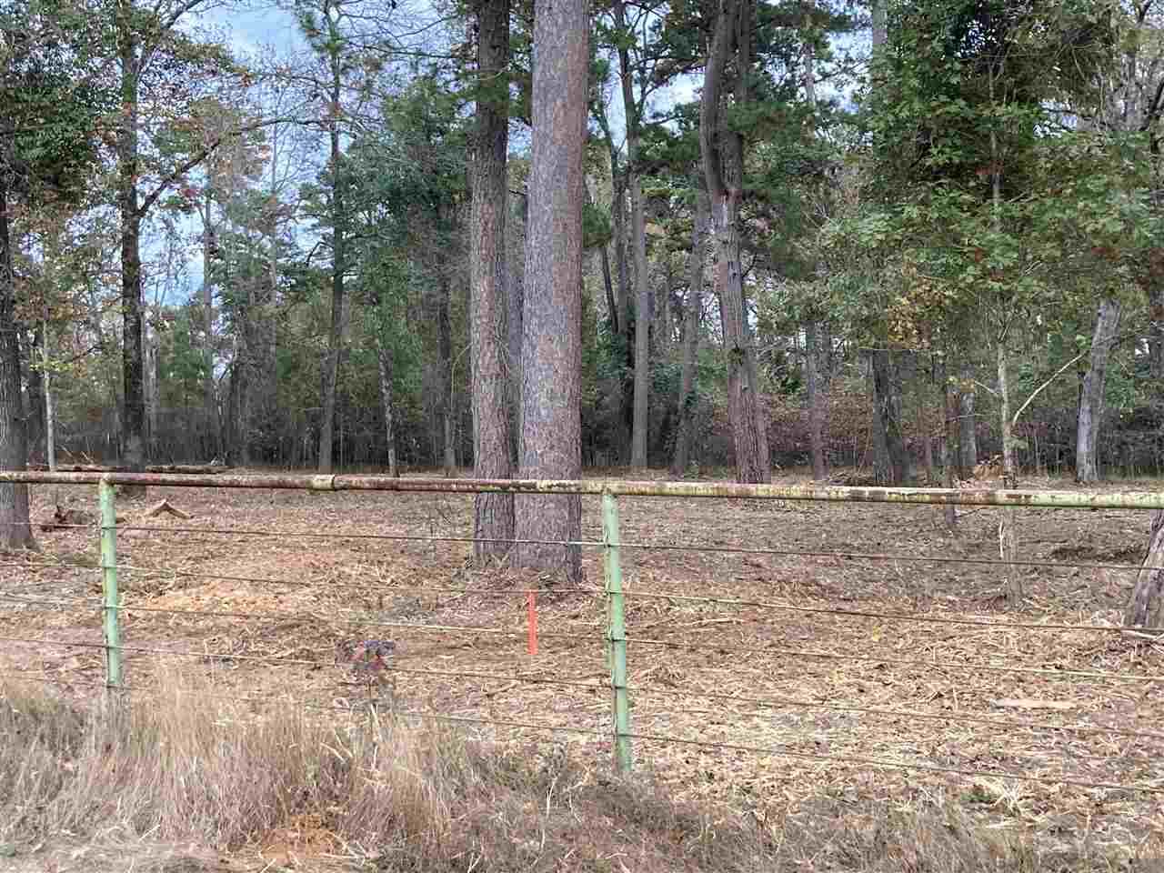 Lot 1 E Lake Dr - Photo 1