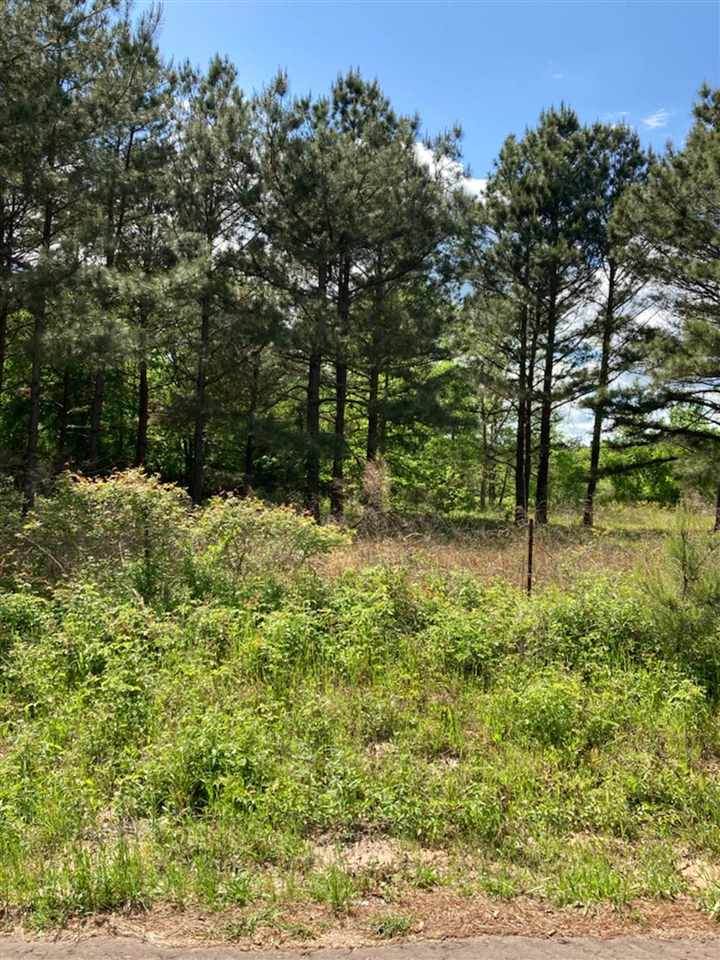Ora Asa Johnson Rd. - Photo 1