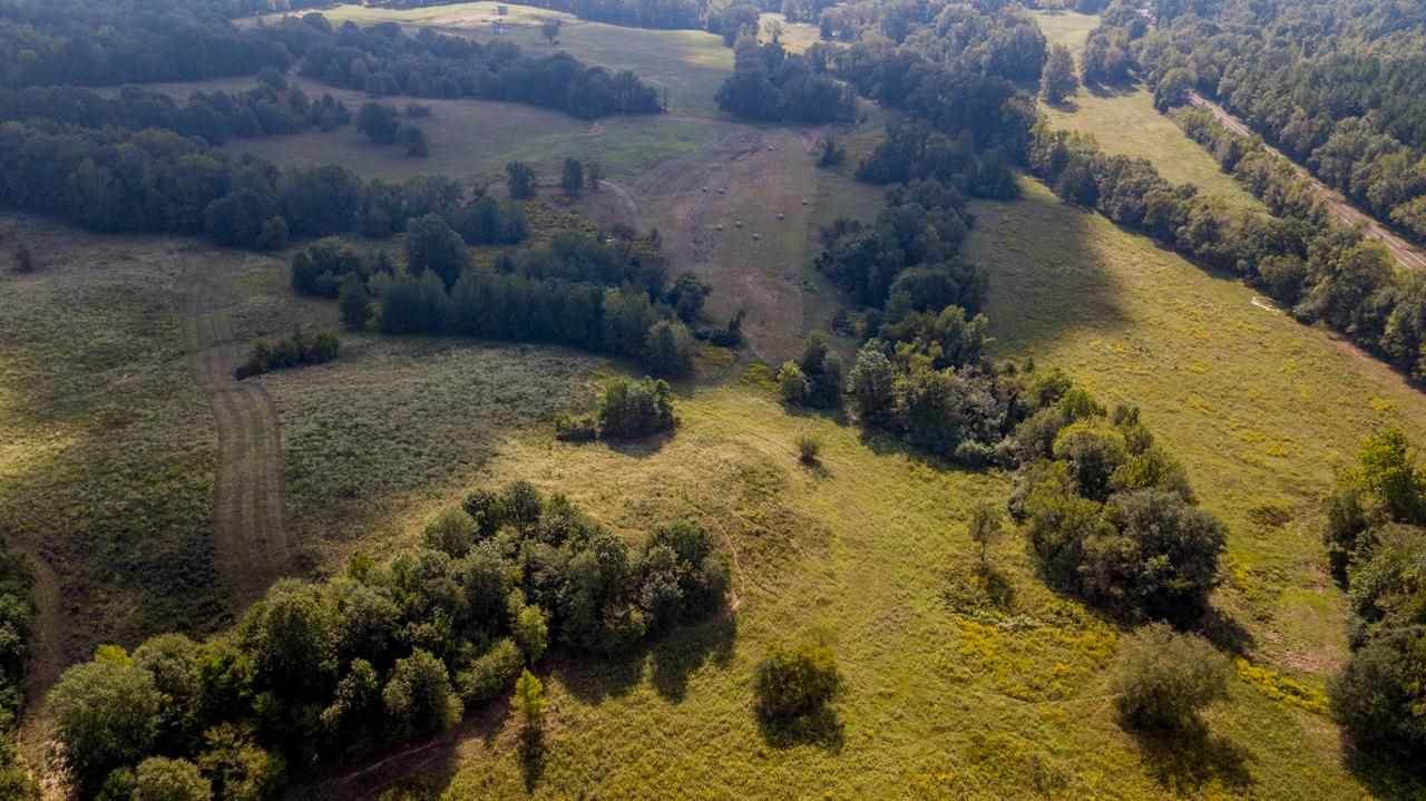 TBD Cr 225 & Cr 436 135.32 Acres - Photo 1