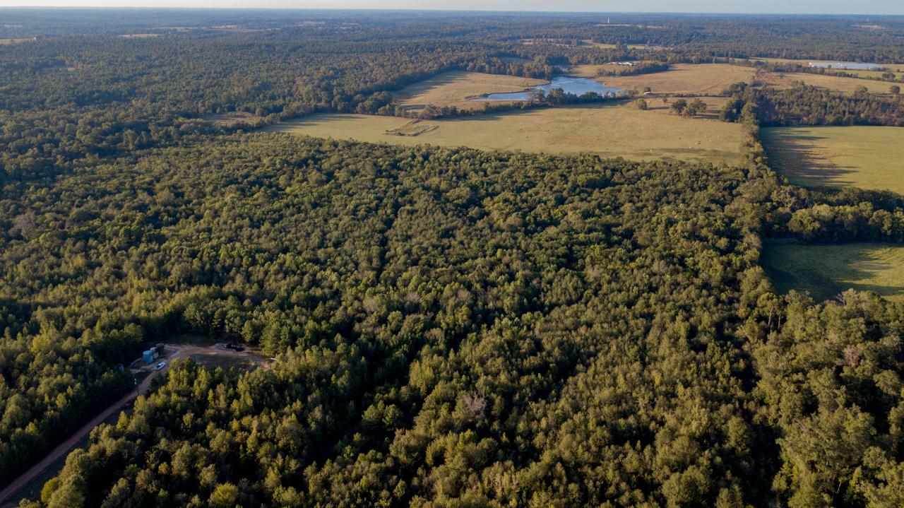 TBD Cr 435 D 308 Acres - Photo 1