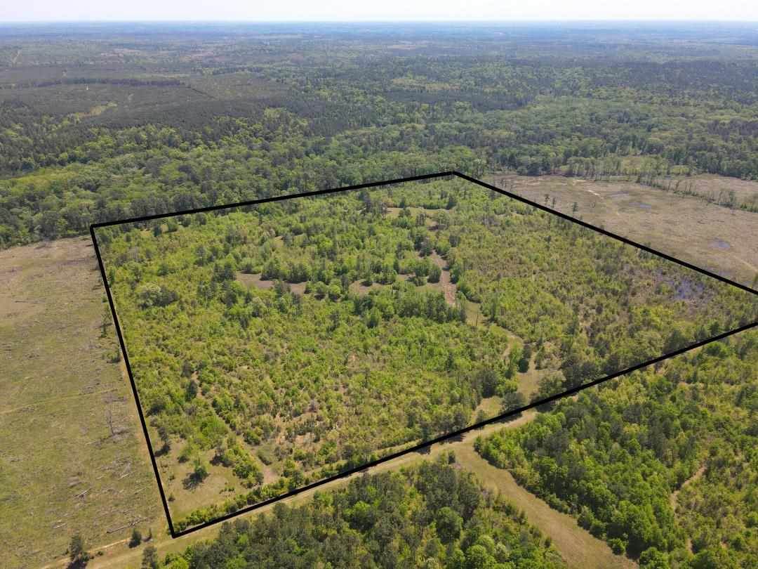 68.74 ac ± TBD Liberty Road - Photo 1