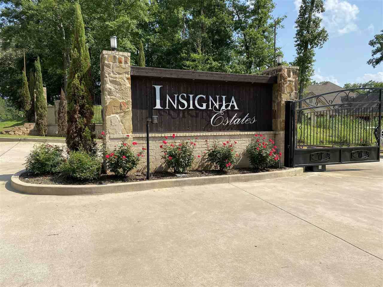 1118 Insignia Way - Photo 1