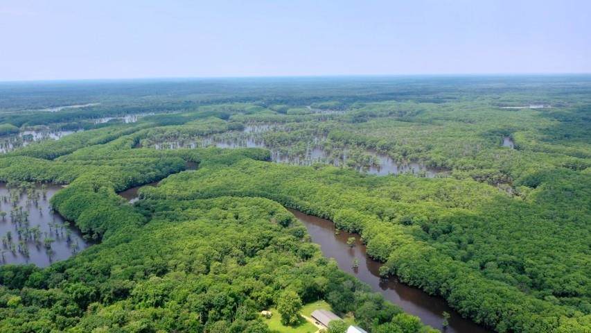 0 Alligator Bayou Dr - Photo 1