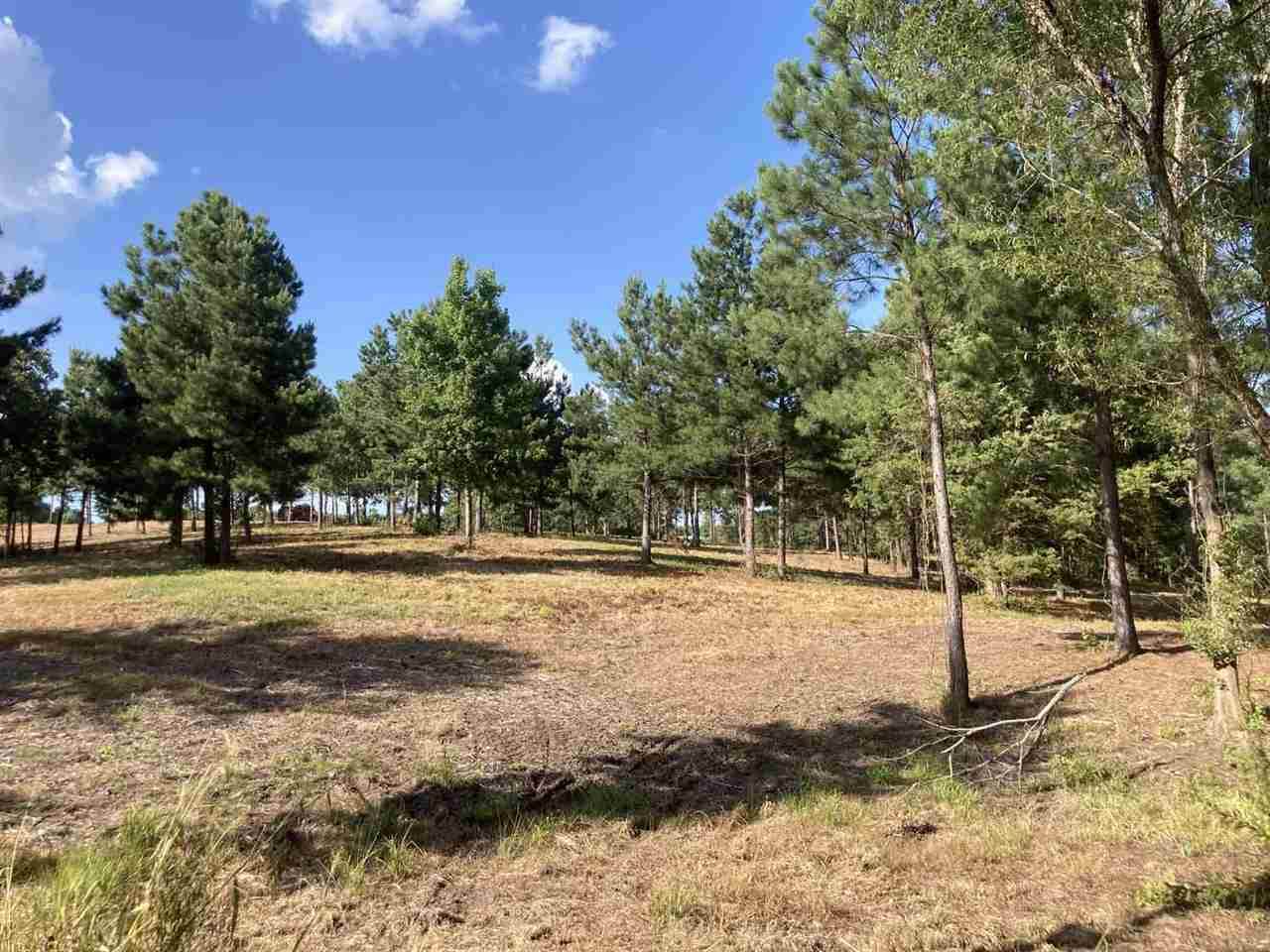 tbd Noonday Rd - Photo 1