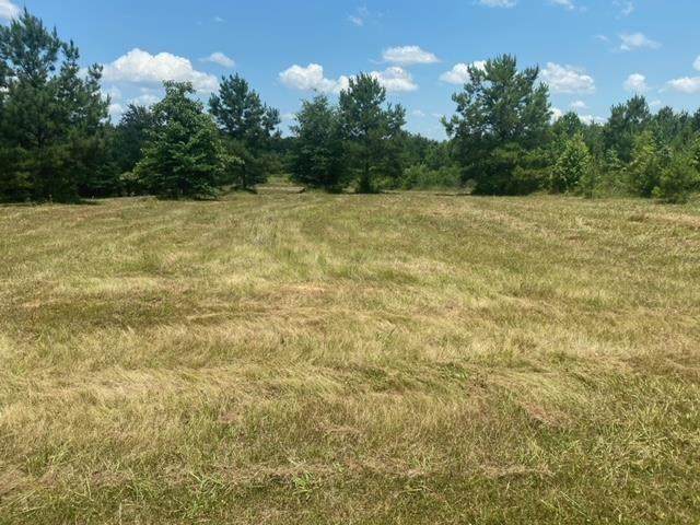 TBD Collier Rd - Photo 1