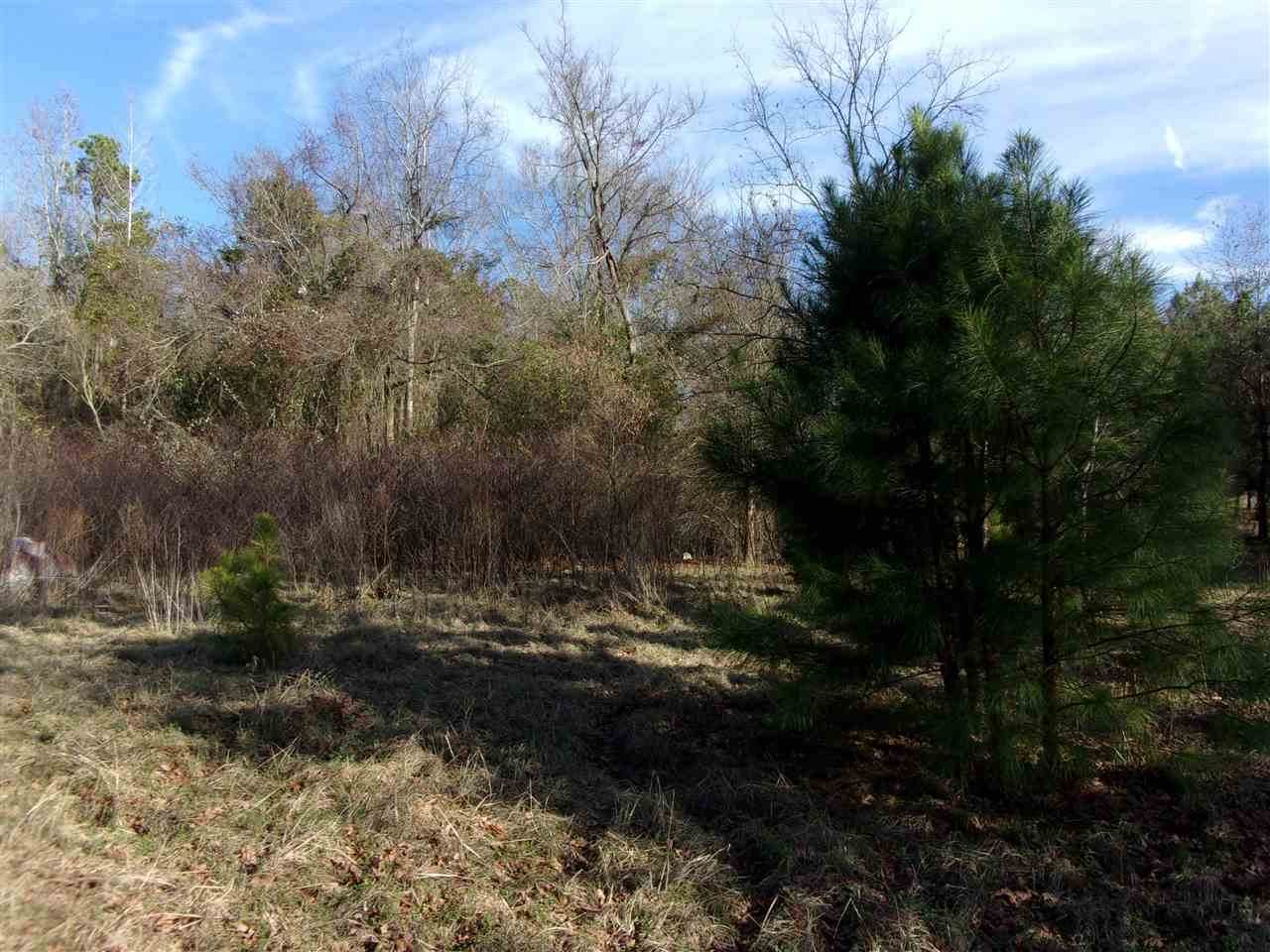 203 Sid Craver Rd - Photo 1