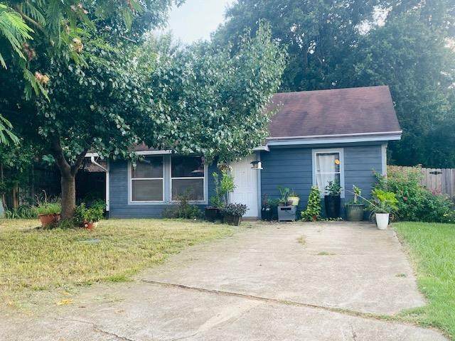 3615 Andrea St. - Photo 1
