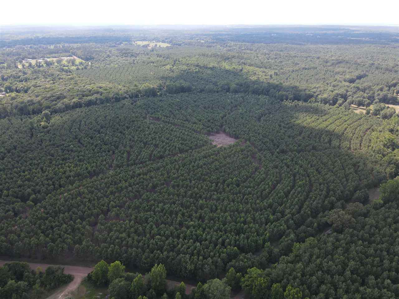 123 ac± TBD Cr 3774 - Photo 1