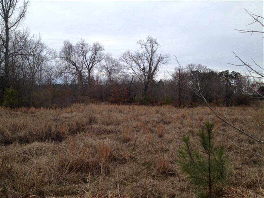 00 Hwy 80 - Photo 1