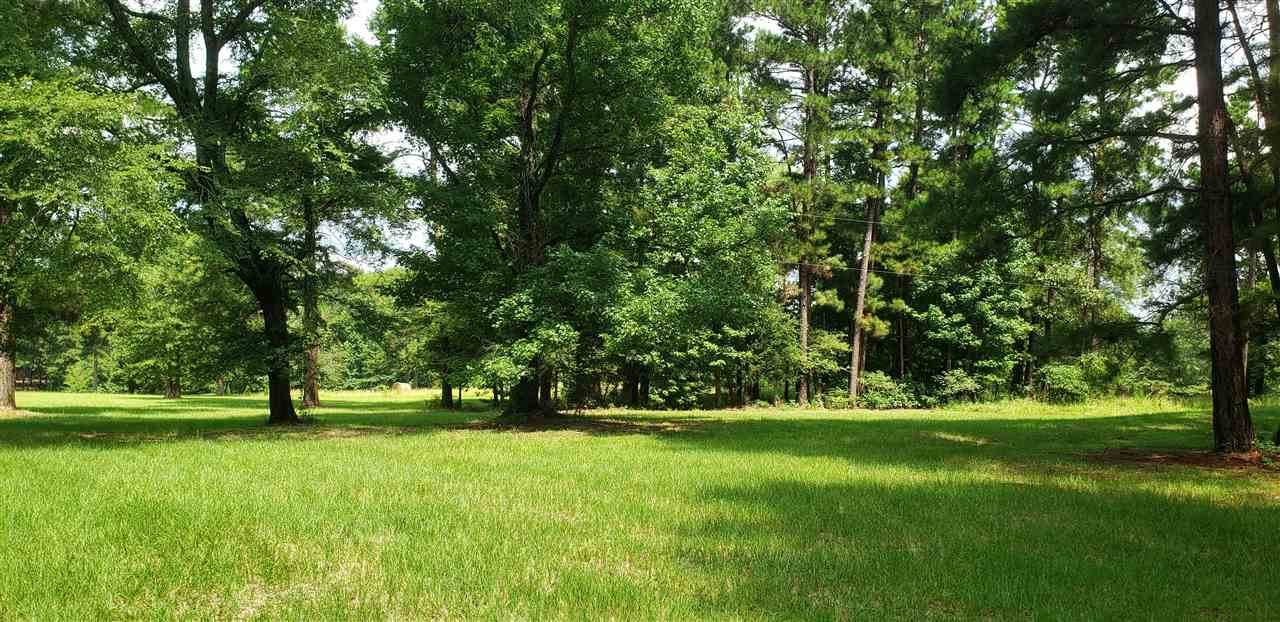 1101 Firetower Rd Lot 4 - Photo 1
