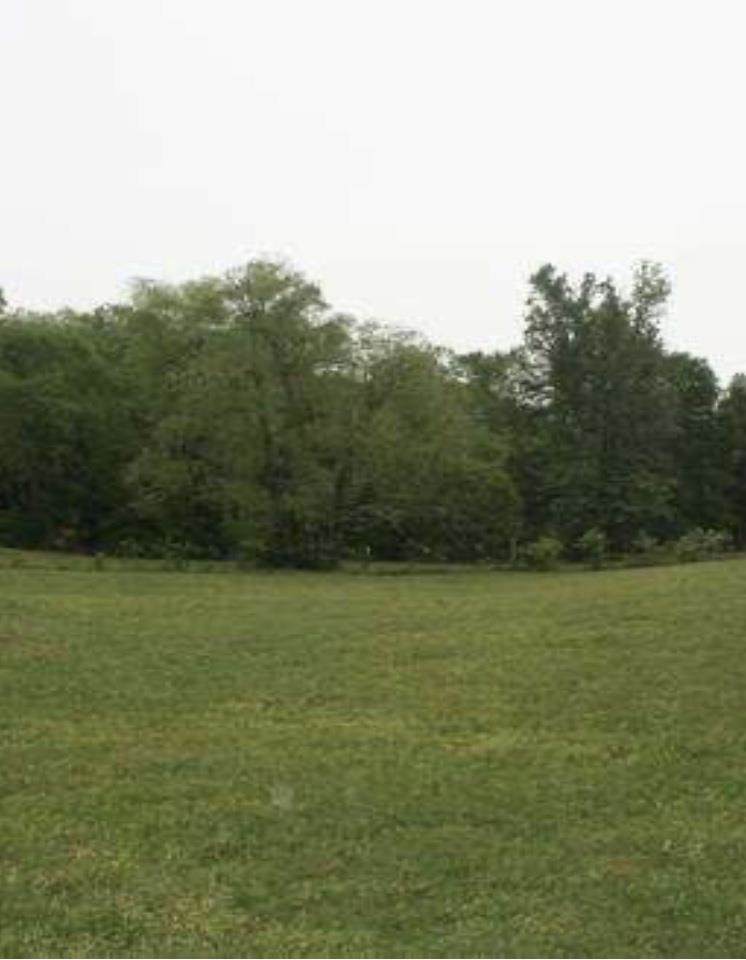 1076 Paw Paw Road - Photo 1