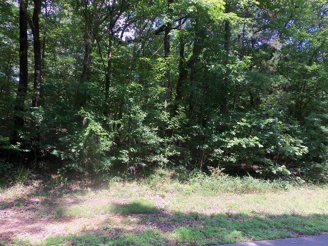 TBD--Lot 9 Willow Springs Road - Photo 1