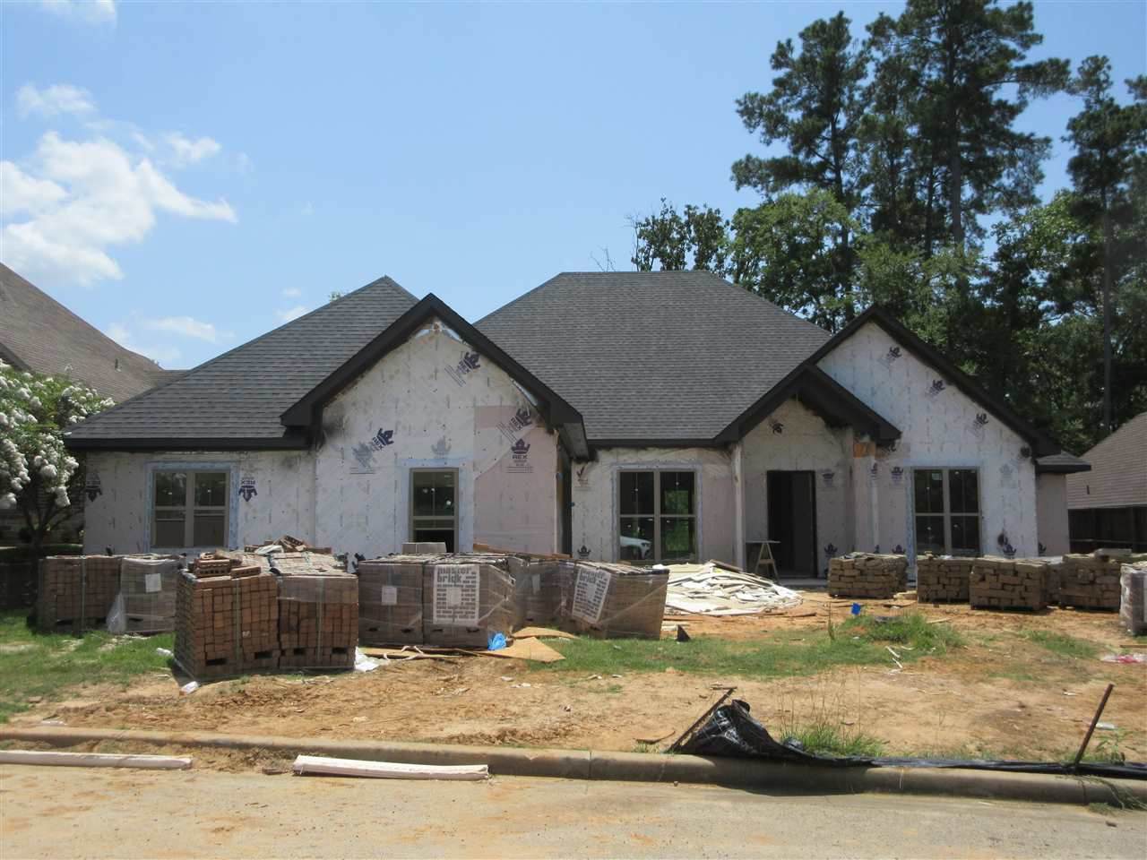 2102 Bandera Trail - Photo 1