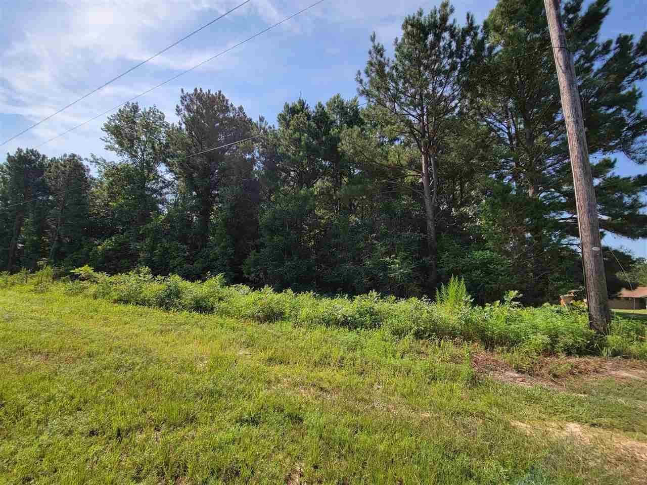 2412 Pinecrest Dr. - Photo 1