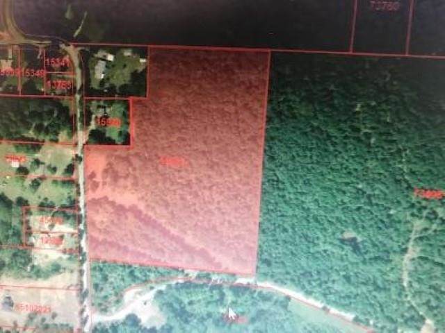 TBD Phillips Springs - Photo 1