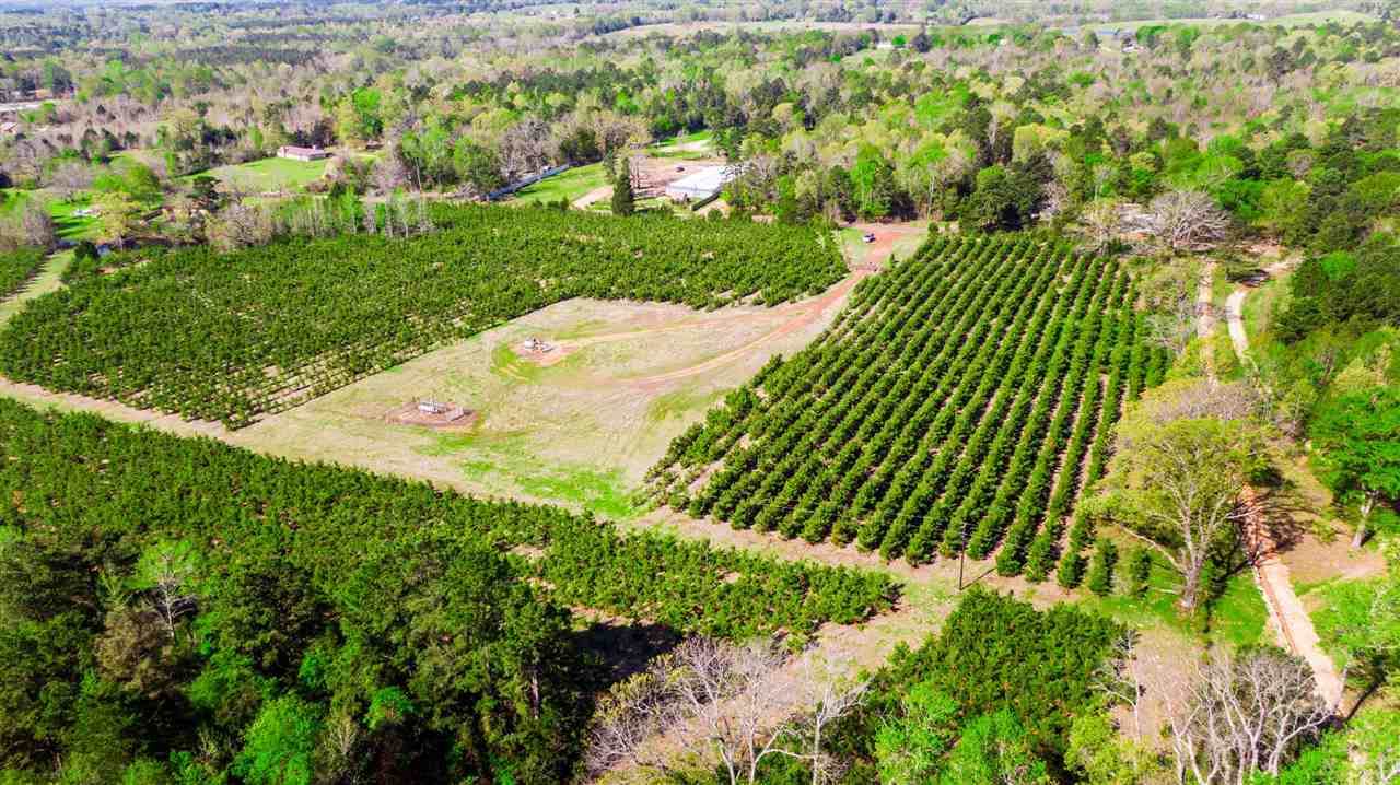 TBD 15 ACRES Hackberry Rd - Photo 1