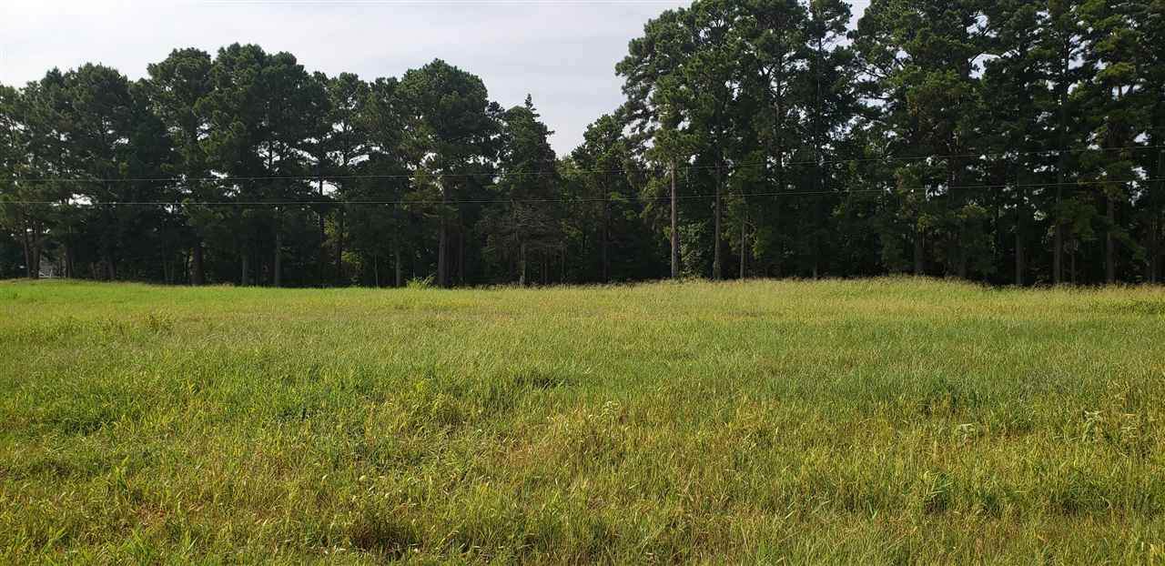9810 Noonday Rd Lot 1 - Photo 1