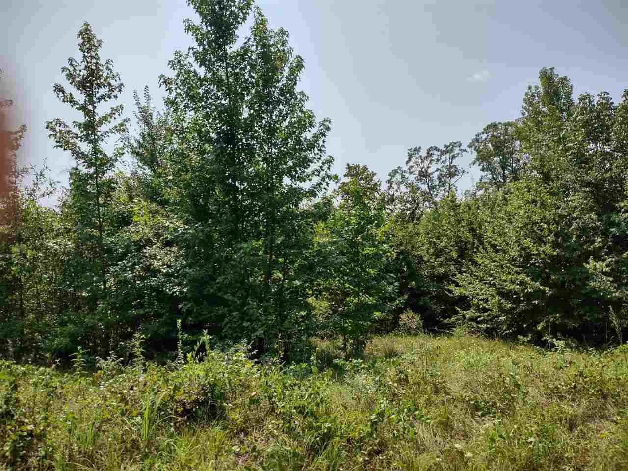 TBD County Road 1923 - Photo 1