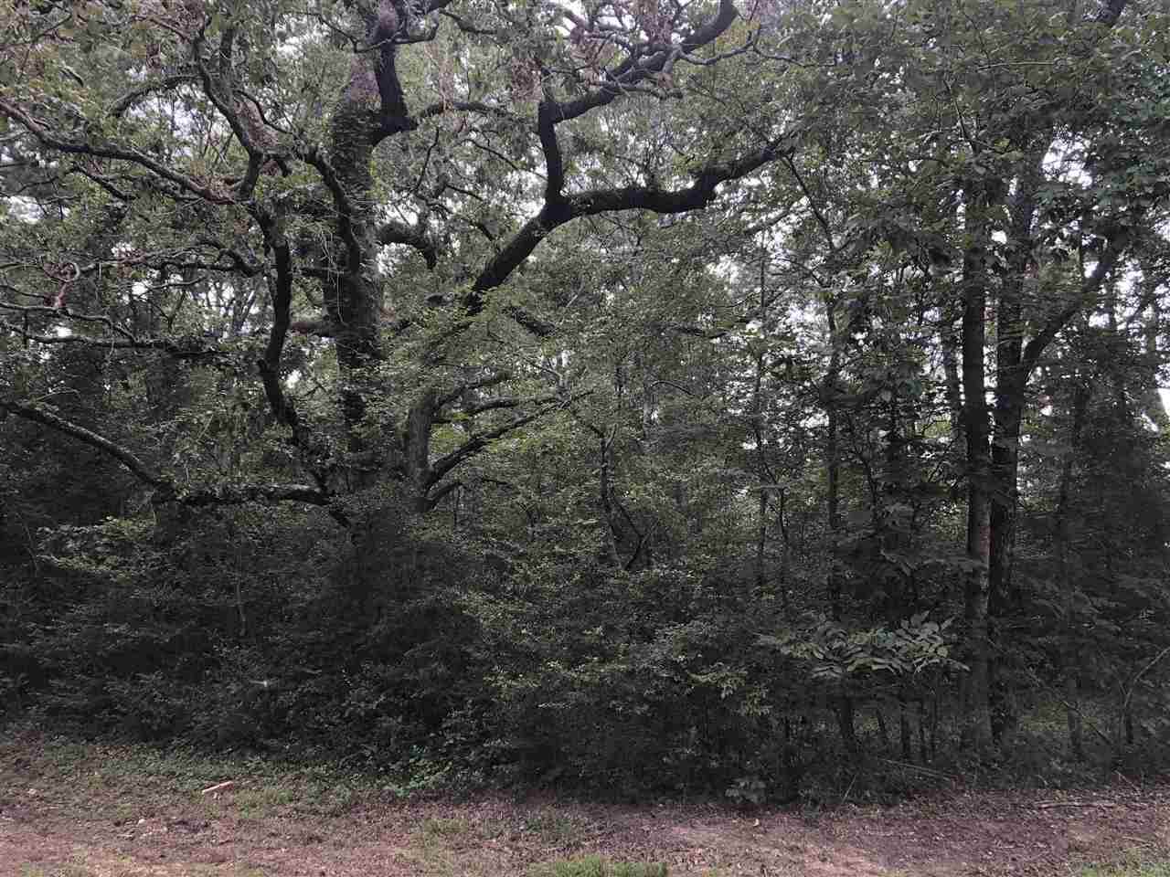 TBD Cr 175 - Photo 1