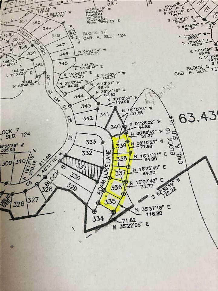 Lot 339 Jackson Arms Rd - Photo 1