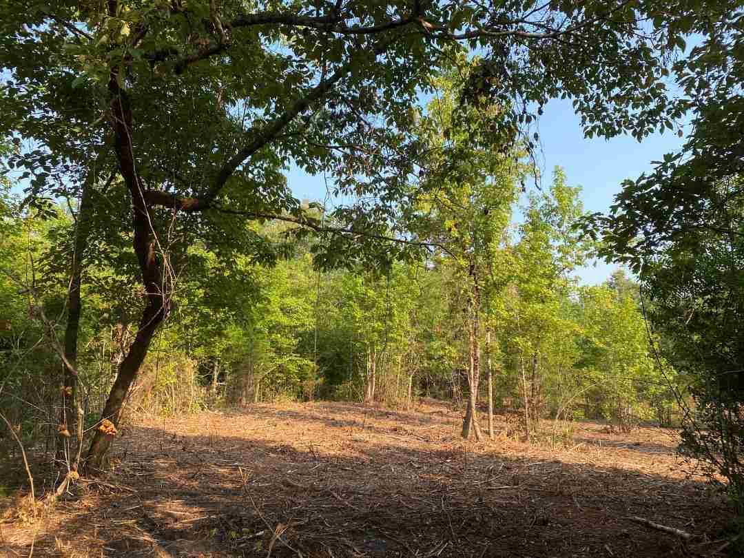 18 ac ± TBD Cr 4344 - Photo 1
