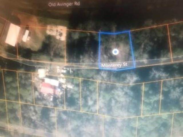 000 Old Avinger Rd. - Photo 1
