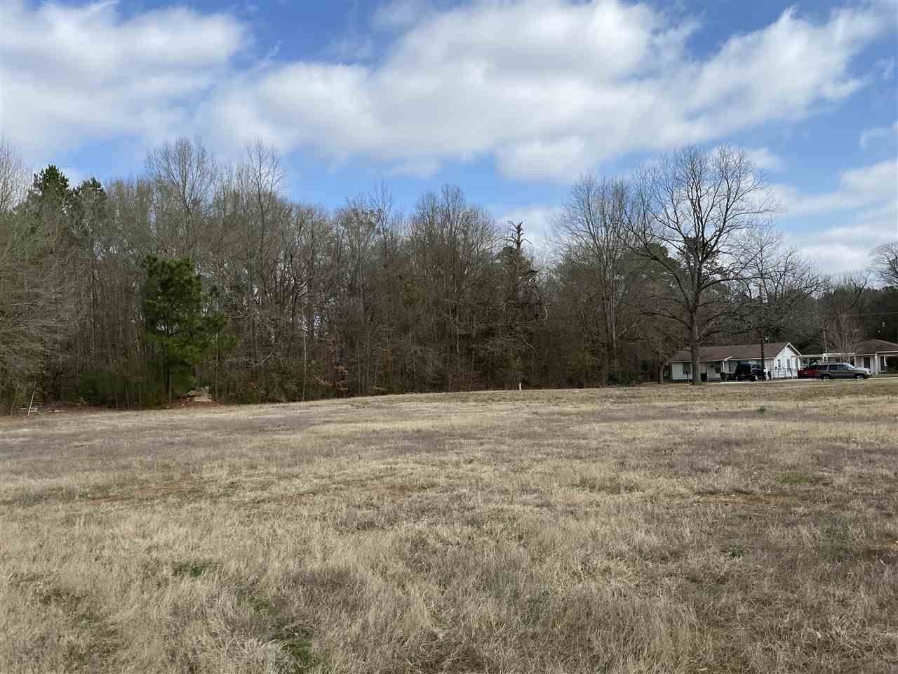 TBD Miles Blvd. - Photo 1