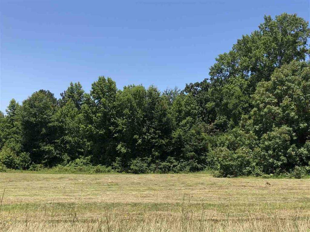 LOT 22 Jacobin Creek Dr - Photo 1