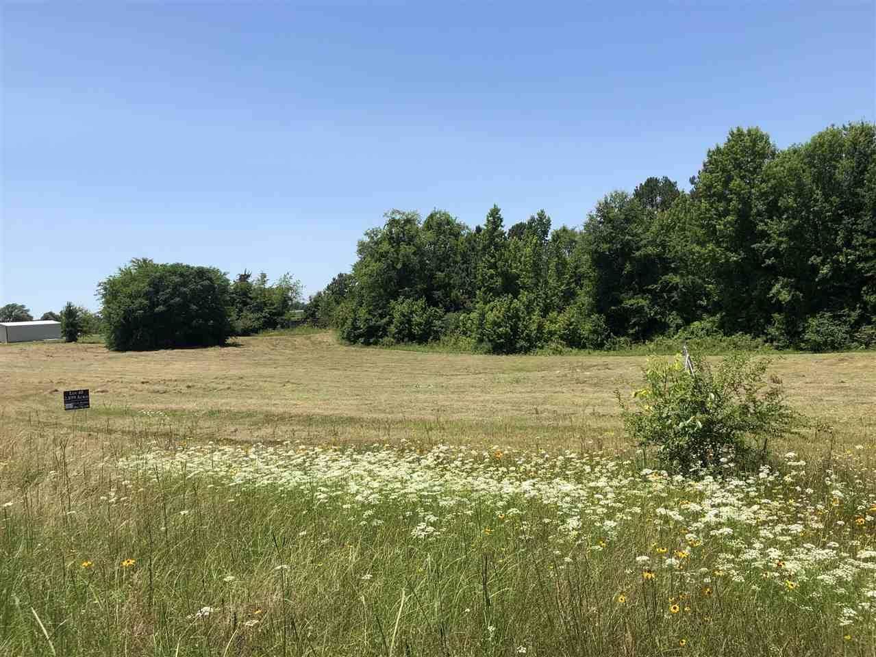 LOT 40 Jacobin Creek - Photo 1